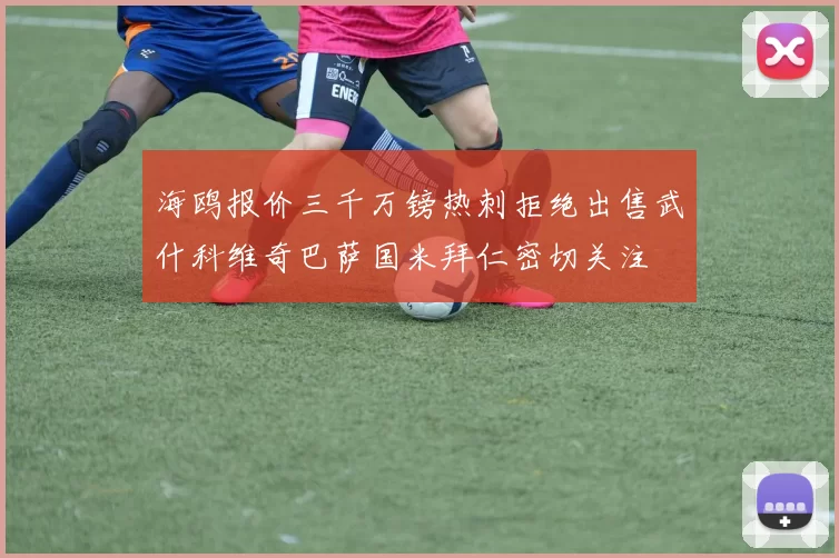 海鸥报价三千万镑热刺拒绝出售武什科维奇巴萨国米拜仁密切关注